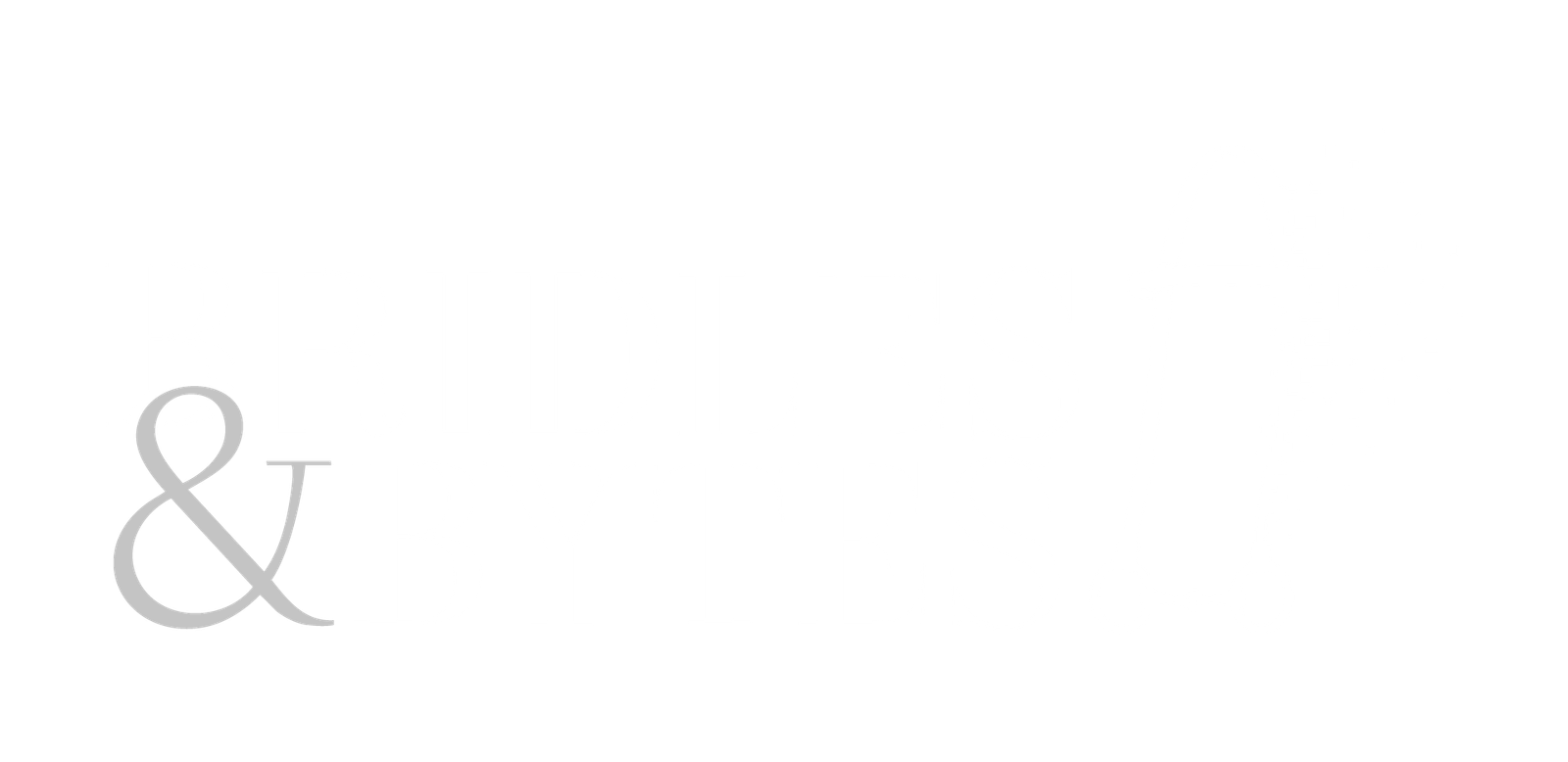 Bridles & Bytes logo, representing a boarding barn website design focused on equestrian services and digital solutions.